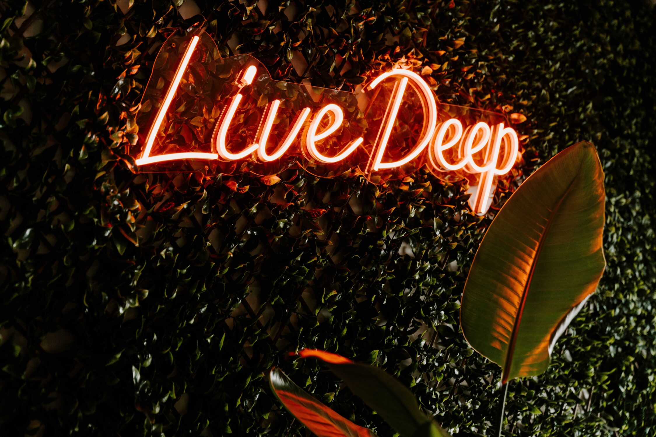Live Deep neon sign